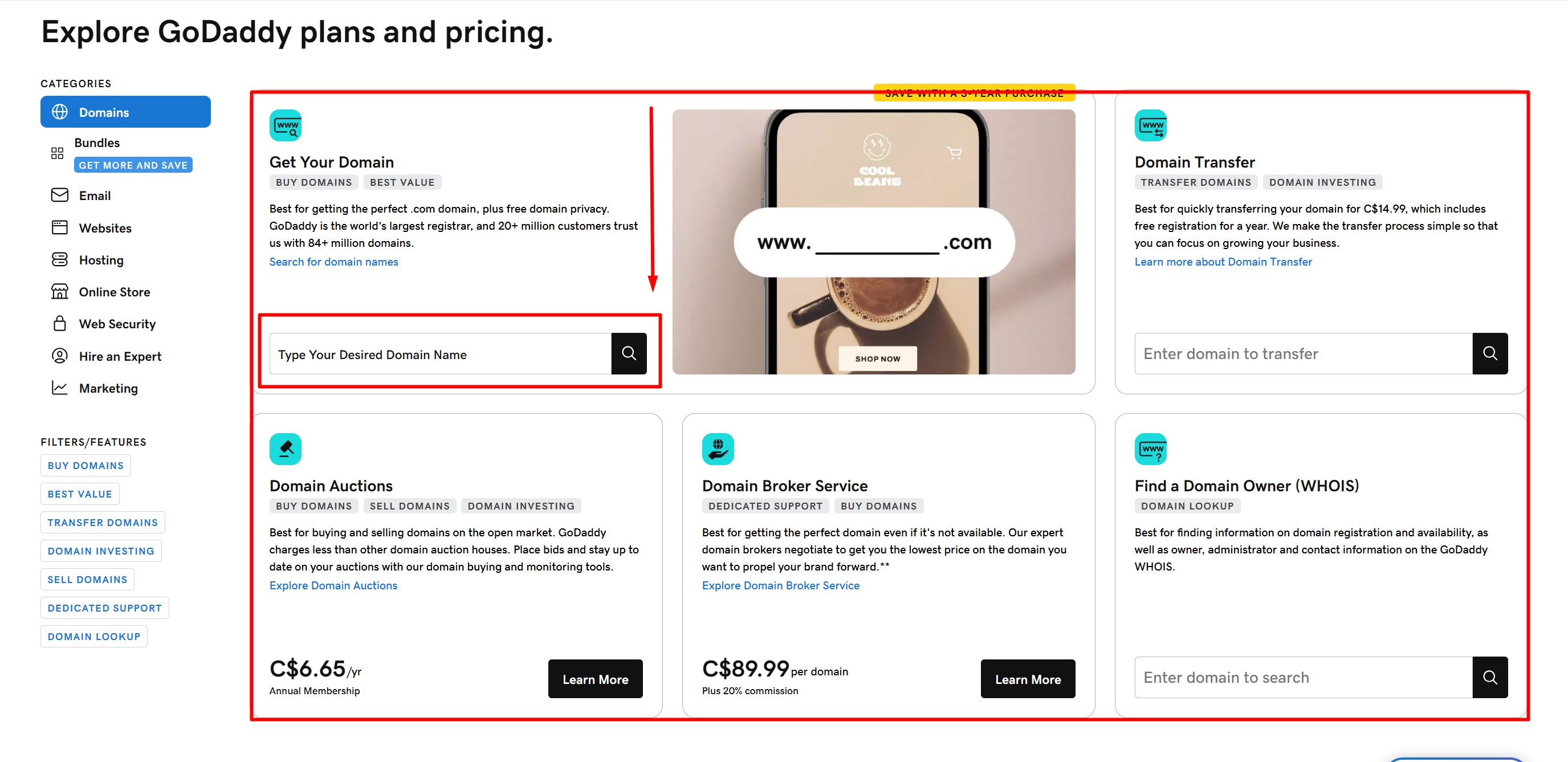 Type Your Desired Domain Need 