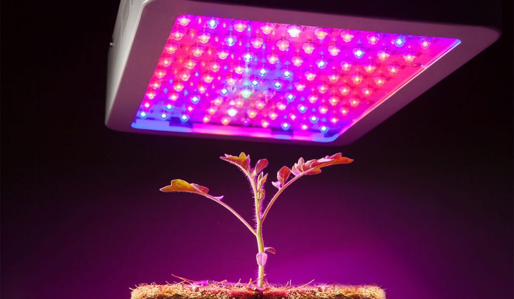 Best LED Grow Light Functions