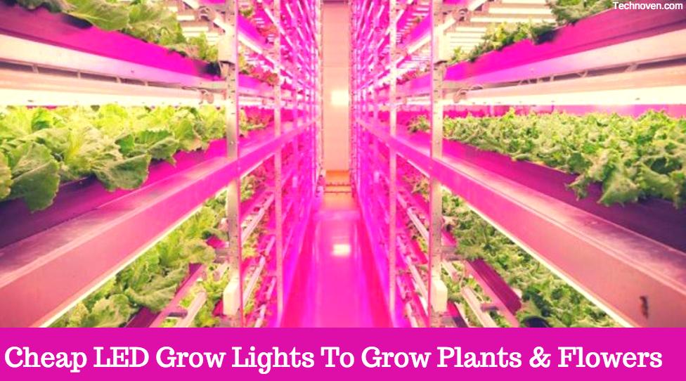 Cheap Led Grow Lights For Plants & Flowers