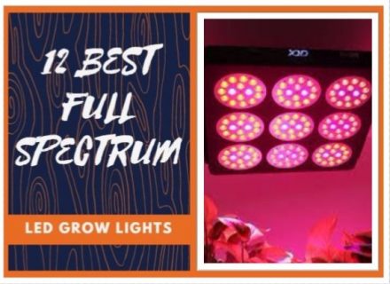 Full Spectrum LED Grow Lights