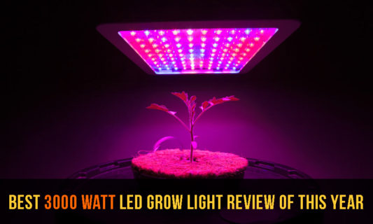 10 Best 3000 Watt LED Grow Light Review of This Year