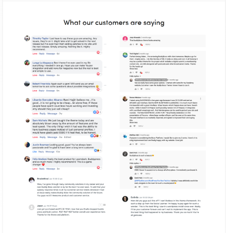 BuddyBoss Customers Review