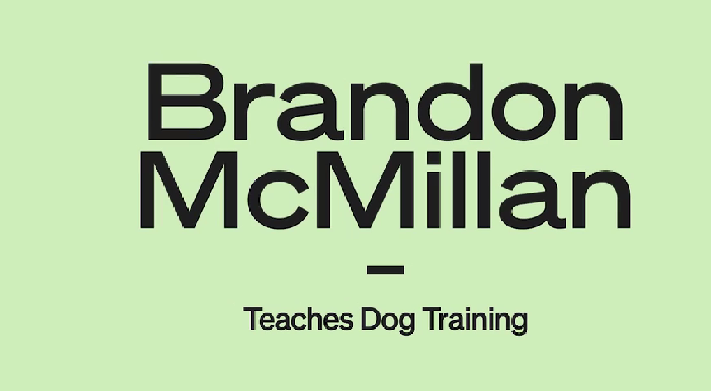 Brandon McMillan Teaches Dog Training