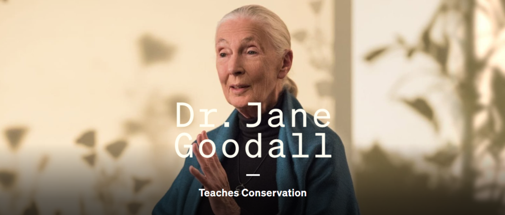 Dr. Jane Goodall MasterClass Review