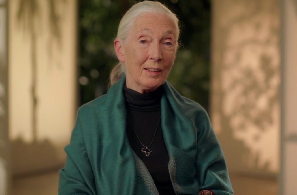 Who is Dr. Jane Goodall