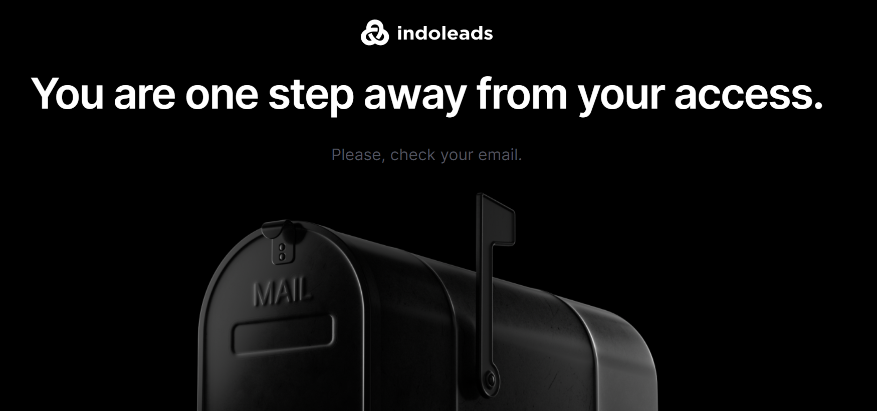 Indoleads Email Verification