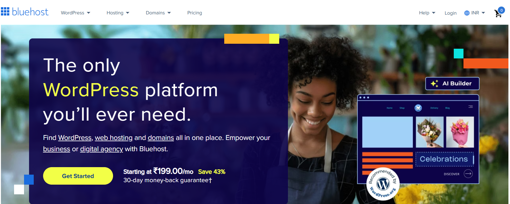 Bluehost Website Interface