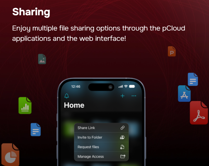 File-Sharing-pCloud