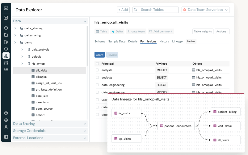 Security & Governance
