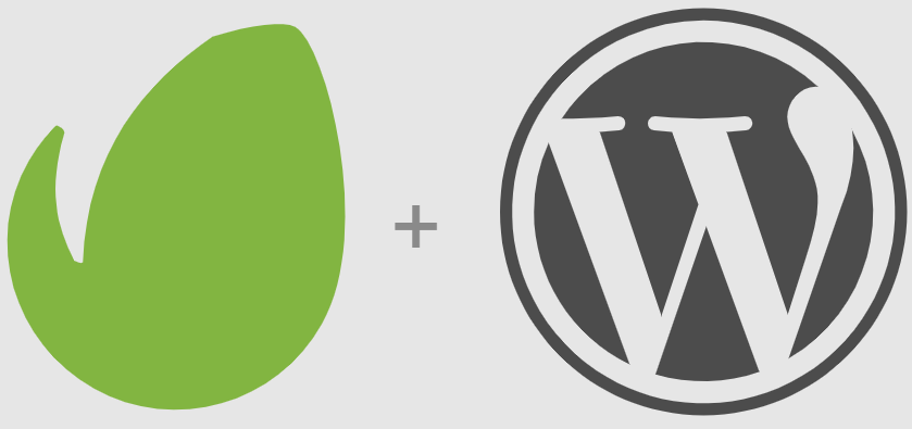envato + wordpress